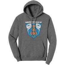 Load image into Gallery viewer, AMERICAN KNIGHT LIFE - Beer, Whiskey &amp; Weed - Unisex Hoodie