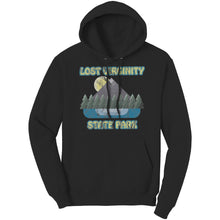 Load image into Gallery viewer, LOST VIRGINITY STATE PARK - Unisex Hoodie