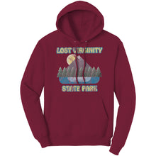 Load image into Gallery viewer, LOST VIRGINITY STATE PARK - Unisex Hoodie