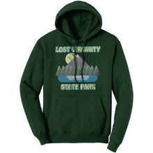 Load image into Gallery viewer, LOST VIRGINITY STATE PARK - Unisex Hoodie