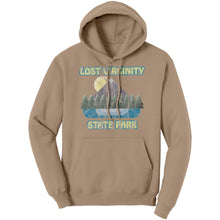 Load image into Gallery viewer, LOST VIRGINITY STATE PARK - Unisex Hoodie