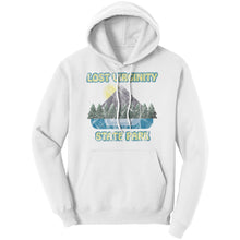 Load image into Gallery viewer, LOST VIRGINITY STATE PARK - Unisex Hoodie